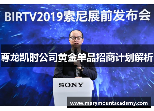 尊龙凯时公司黄金单品招商计划解析