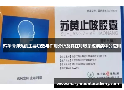 羚羊清肺丸的主要功效与作用分析及其在呼吸系统疾病中的应用