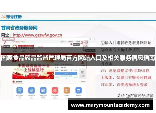 国家食品药品监督管理局官方网站入口及相关服务信息指南